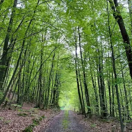 Maerchenhafte White Auf Dem Berg Im Sauerland *