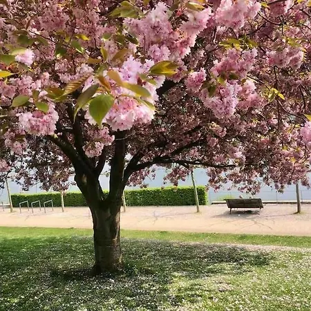 Maerchenhafte White Auf Dem Berg Im Sauerland Apartment *