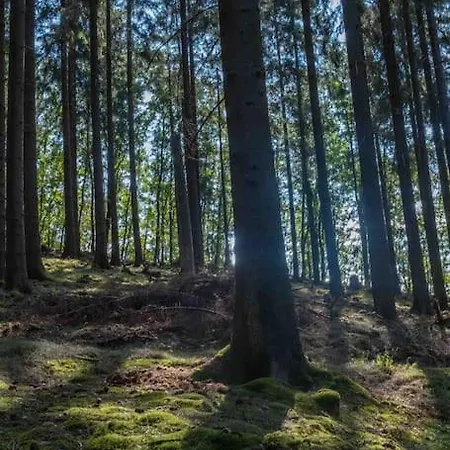 Appartement Maerchenhafte White Auf Dem Berg Im Sauerland Werdohl