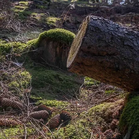 Maerchenhafte White Auf Dem Berg Im Sauerland *