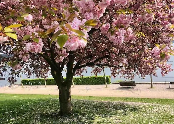 Maerchenhafte White Auf Dem Berg Im Sauerland Daire *