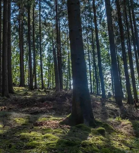 Daire Maerchenhafte White Auf Dem Berg Im Sauerland Werdohl